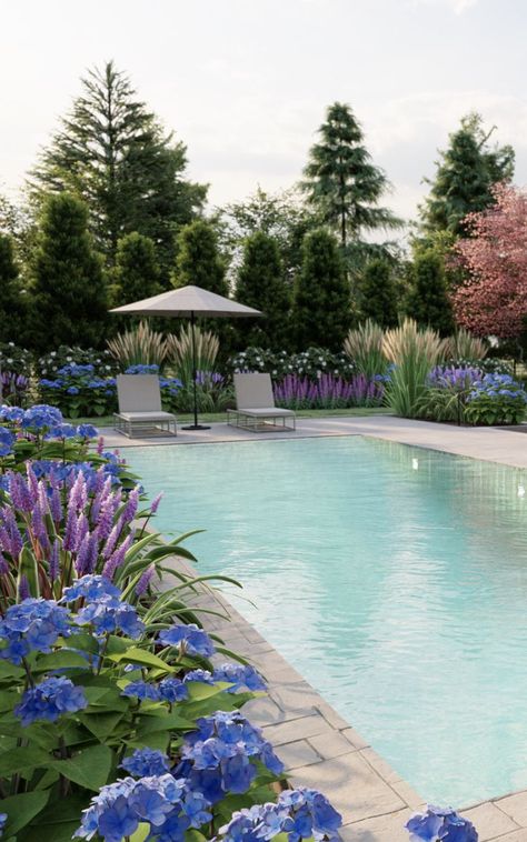 Explore custom yards created by talented online landscape designers. Pool Design Modern, Best Plants For Bedroom, Online Landscape Design, Hydrangea Landscaping, Natural Swimming Ponds, Panicle Hydrangea, Beautiful Home Gardens, Swimming Pool Tiles, Potted Plants Outdoor