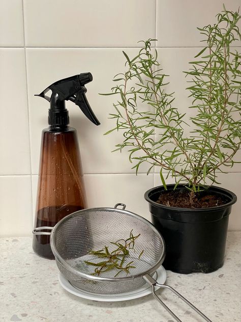 Rosemary Water Diy, Rosemary Water Aesthetic, Rosemary Oil Aesthetic, Hair Growth Aesthetic, Rosemary Hair Growth Spray, Rosemary Hair Spray, Hair Oil Aesthetic, Rosemary Water Hair, Rosemary Aesthetic