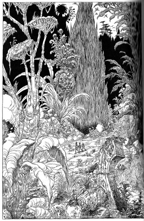 Chris Riddell, Ink Pen Art, Monochromatic Art, Pen Drawings, Tinta China, Nature Drawing, Ink Drawings, Drawing Inspo, Landscape Drawings