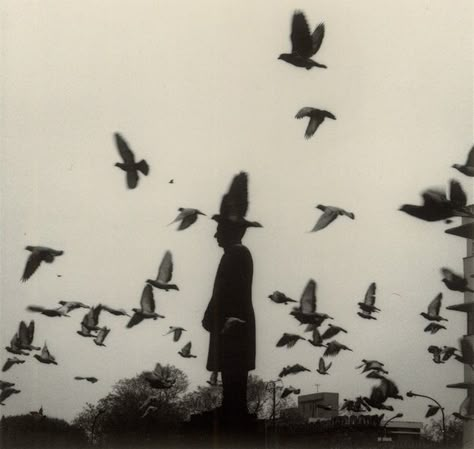 Birds Flying, A Man, Birds, Black And White, Photography, White, Black