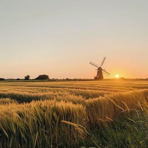 Sunset Windmill Scene: A tranquil windmill overlooks a golden wheat field during a breathtaking sunset in the countryside. #sunset #windmill #wheat #field #countryside #aiart #aiphoto #stockcake ⬇️ Download and 📝 Prompt 👉 https://ayr.app/l/iT9d Fox Oc, Golden Wheat Field, Farm Windmill, Golden Wheat, Wheat Field, Scene Image, Wheat Fields, Sunset Photography, Free Photos