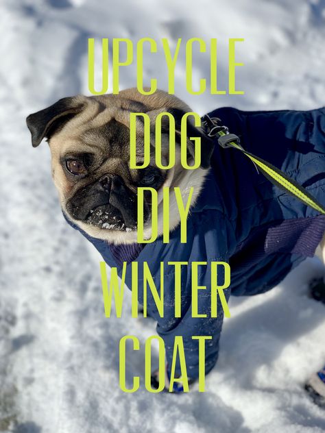 How to turn a child’s coat into a cozy winter coat for your dog - YouTube step by step free instructions Dog Snowsuit Pattern, Diy Dog Coat No Sew, Diy Dog Winter Coat, Puppy Coat Pattern Free, Dog Jacket Pattern Free Winter Coats, Free Dog Coat Pattern Sewing, Dog Coats Patterns Free Sewing, Dog Coat Pattern Free Printable, Dog Jacket Pattern Free