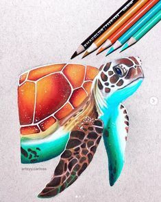 Pencil Art For Beginners, Colored Pencil Artwork Ideas, Sea Turtle Drawing, Colored Pencil Art Projects, Color Pencil Sketch, Desen Realist, Turtle Drawing, Prismacolor Art, Colored Pencil Artwork