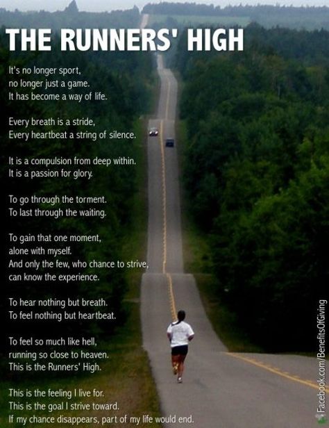 The Runners' High: It's no longer sport, no longer just a game. It has become a way of life. Every breath is a stride, every heartbeat a str... Running Poems, Running Quotes Motivation, Distance Running Quotes, Track Star, Why I Run, I Love To Run, Runners High, Cross Country Running, Michelle Lewin