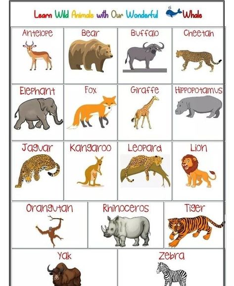 6 Best Images Of Free Printable Animal Flash Cards - Printable Animal E14 Domestic And Wild Animals Chart, Animals Chart, Oviparous Animals, Animals And Their Homes, Zoo Preschool, Shape Chart, August Challenge, Preschool Colors, Kids Part