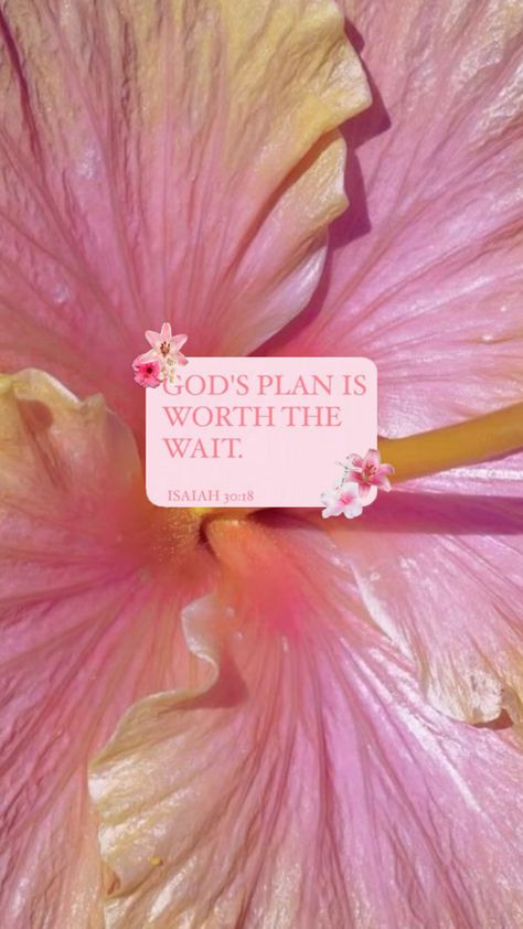 bible verse for my girly 🫶🏻💖 Girly Bible, Jesus Love Images, Bible Quotes Background, Floral Bible Verse, Christian Illustration, Christian Iphone Wallpaper, Scripture Wallpaper, Christian Quotes Wallpaper, Verse Wallpaper