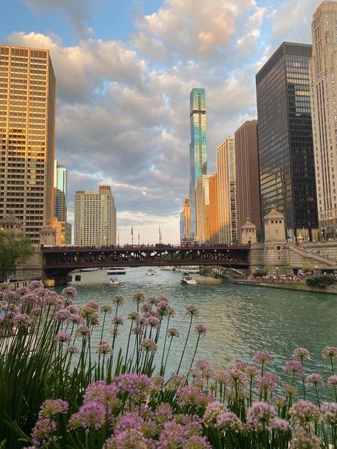 Life In Chicago, Chicago Spring Aesthetic, Chicago Vision Board, Chicago Living Aesthetic, Spring In Chicago, Chicago Illinois Aesthetic, Chicago Aesthetic Summer, Chicago Summer Aesthetic, Chicago In Summer