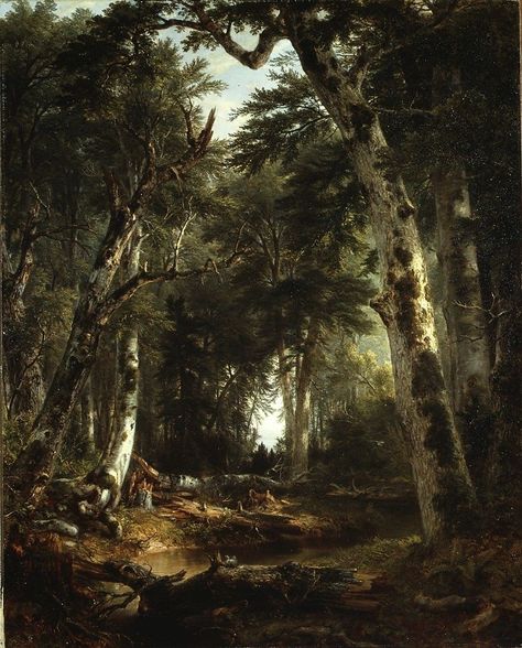 Asher Brown Durand | In the Woods | American | The Met Woods Living, Posters Uk, American Fine Art, Hudson River School, Caspar David Friedrich, 19th Century Paintings, Catskill Mountains, Deep Woods, American Painting