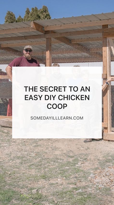 This one secret makes all the difference in the world when it comes to building a chicken coop. Easy Chicken Shelter, Do It Yourself Chicken Coop How To Build, How To Build A Cheap Chicken Coop, Building A Chicken Coop Cheap, Chicken Run Plans Diy, Diy Chook House, Diy Chicken House Cheap, Diy Chicken Coop 20 Chickens, Easy Coop Ideas