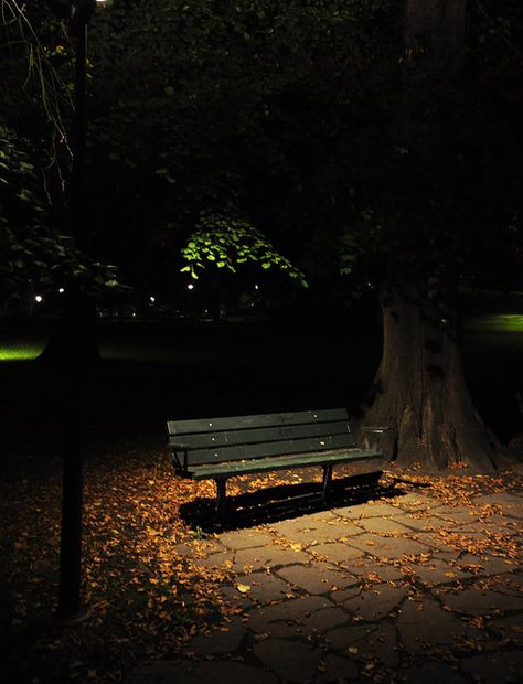 The empty park bench by Mercury dog, via Flickr Bench Aesthetic, Love Background Images, Love Backgrounds, Dark Photography, Night Aesthetic, Dark Night, Image Hd, Night Photography, Park City