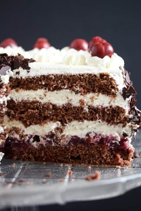 Authentic German Black Forest Cake or Schwarzwälder Kirschtorte. This is probably the best-known German gateau there is. Three layers of chocolate sponge filled with cherries, Kirsch, and whipped cream, and garnished with a little more chocolate. Amazing! #whereismyspoon #germanblackforestcake #germanblackforestgateau #germancake #blackforestcake #blackforestgateau #authenticblackforestcake German Black Forest Cake, German Cakes Recipes, Black Forest Cake Recipe, German Cake, German Desserts, German Baking, Black Forest Cake, Cherry Cake, Forest Cake