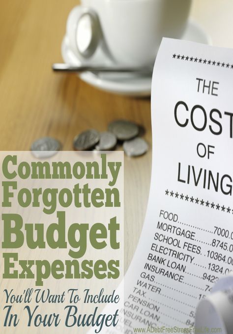 Budget Expenses, Navy Wife, Living On A Budget, Budget Saving, Budget Printables, Frugal Tips, Managing Your Money, Budgeting Finances, Budgeting Money