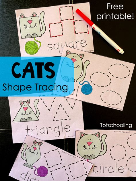 Pet Themed Crafts Preschool, Preschool Pets Unit, Preschool Pet Activities, Prek Themes, Pet Study, Learn Shapes, Pet Theme, Practice Tracing, Pets Preschool Theme