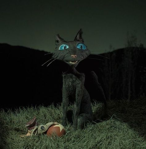 Cat In Coraline, Two Cats, Cat Help, Hello Friend, Coraline, Black Cat, Black