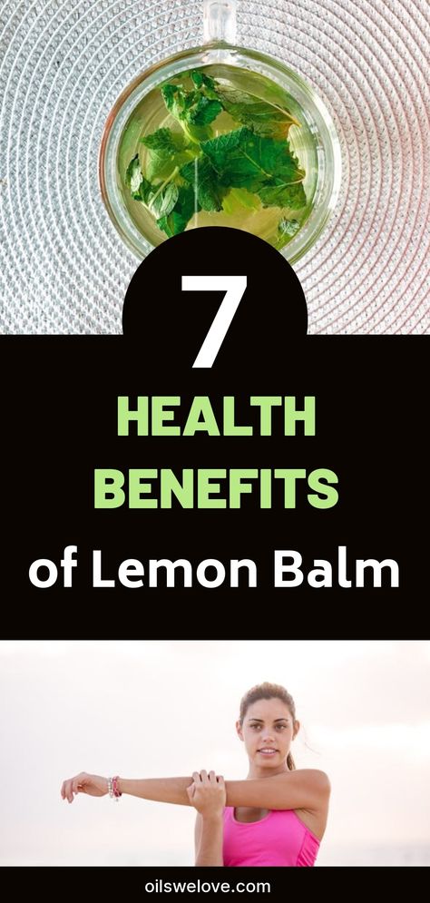 Proven Lemon Balm Uses and Recipes for Health. Discover the power of lemon balm for natural remedies and delicious recipes to boost your well-being! #LemonBalm #HealthRecipes #NaturalRemedies Lemon Balm Uses, Lemon Balm Recipes, Recipe Using Lemons, Detox Soup Cabbage, Melissa Officinalis, Lemon Health Benefits, Thyroid Medication, Lemon Benefits, Health Tea