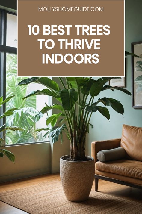 Explore the best trees to grow indoors for a touch of greenery in your home. From vibrant citrus trees like limes and kumquats to charming umbrella trees and fragrant lavender plants, there are plenty of options to choose from. Discover how to care for indoor fruit trees and palm plants that thrive even without sunlight. Whether you're looking for a pop of color or a refreshing scent, these indoor plants will brighten up any space. House Interior Plants Living Rooms, Plants For Shade Indoor, Trees For Inside The House, House With Indoor Plants, Statement Indoor Plants, Tall Indoor Plants Bedroom, House Plants For Living Room, Tall House Plants Indoor Living Rooms, Indoor Palms Plants