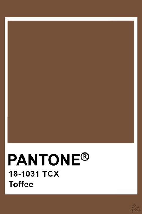 Brown Pantone, Toffee Color, Pantone Tcx, Brown Things, Pantone Color Chart, Pantone Swatches, Pantone Palette, Color Pantone, Pantone Colour Palettes