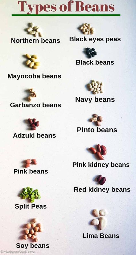 How To Cook Beans in The Instant Pot?(Instant Pot Beans) - My Dainty Soul Curry Beans Dishes, Ancestral Eating, Instant Pot Beans, Mayocoba Beans, Pollution Pictures, Instant Pot Beans Recipe, Easy Bean Recipes, Pot Beans, Lima Bean Recipes