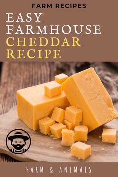 Farmstand Ideas, Homemade Cheeses, Cheese Recipes Homemade, Cheddar Recipes, Dairy Snacks, Cheddar Cheese Recipes, Cheesecake Bar, Preserve Flowers, Cheese Making Recipes