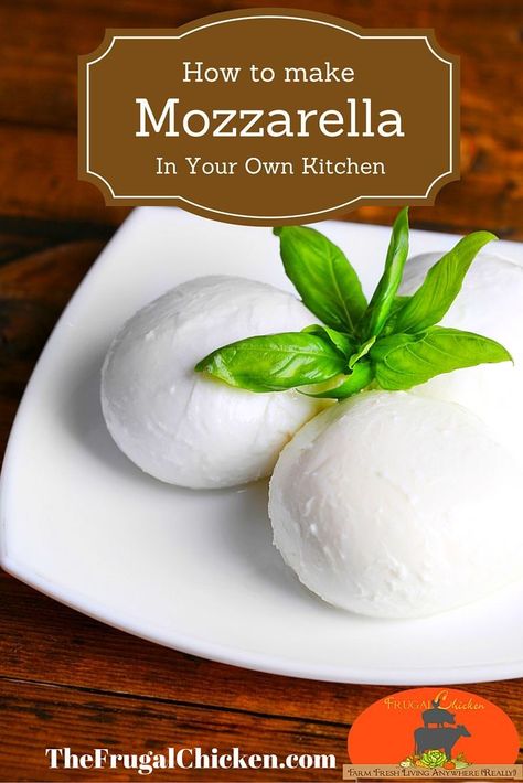 The easiest mozzarella recipe I've ever seen. Yum!  #cheese #mozzarella Mozzarella Cheese Aesthetic, Cheese Making For Beginners, Italian Mozzarella, Mozzarella Cheese Recipe, Homemade Mozzarella Cheese, Cheese Recipes Homemade, Mozzarella Recipe, Homemade Mozzarella, Cheese Making Recipes