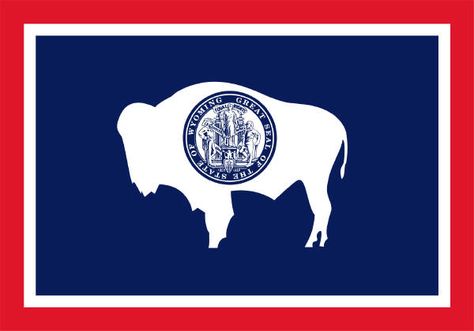 Wyoming Flag, Us States Flags, Wyoming State, Usa States, Online Poker, Flags Of The World, State Flags, Digital Nomad, Countries Of The World