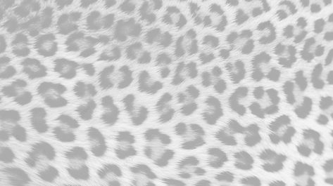 detailed close up of leopard spot pattern texture background leopard texture leopard pattern leopa Snow Leopard Wallpaper, Cheetah Print Background, Leopard Print Background, Leopard Print Wallpaper, Macbook Air Wallpaper, Photoshop Poster, Ombre Wallpapers, Ipad Background, Mac Wallpaper