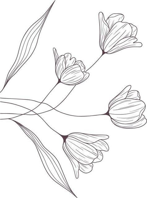 Background Designs For Drawings, Flower Line Drawing Pattern, Line Drawing Flower, Outline Flowers, Abstract Flower Design, Line Flowers, Flowers Line Art, Graphic Flowers, Line Drawing Art