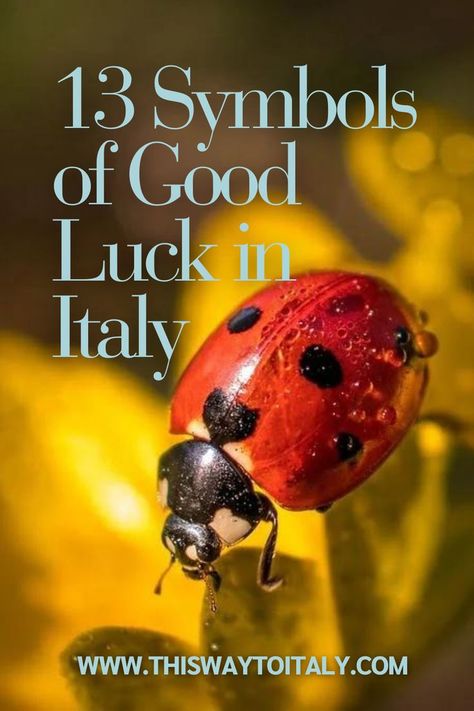 Would you like to know some symbols of good luck in Italy? Let’s have a look at the things believed to bring good luck and good fortune in Italy. #symbols #symbolsandmeanings #goodluck Italy Symbols, Luck Symbols, Good Luck Symbols, Bring Good Luck, Symbols And Meanings, Bad Luck, Good Fortune, The Things, Good Luck