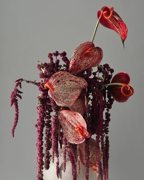 Sasha Ben | // anthúrium & amaránthus // amour 💔 | Instagram Cool Flower Bouquet, Anthurium Floral Arrangements, September Studio Flowers, Wedding Red Flowers, Anthurium Wedding, Flowers For Bouquet, Anthurium Arrangement, Anthurium Bouquet, Red Flower Arrangements