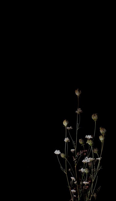 Flowers Black Background, Arte Grunge, Paper Background Design, Simple Phone Wallpapers, Dark Flowers, Dark Phone Wallpapers, Iphone Wallpaper Photos, Galaxy Phone Wallpaper, Tapeta Pro Iphone