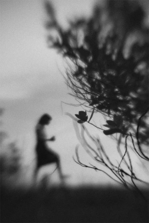 And I Shall Find Thy Love by Hengki Lee, Photography, Digital | Art Limited Blur Photography, Bw Photography, Focus Photography, Out Of Focus, Visual Poetry, Tv Movie, Dark Photography, Black White Photos, Photography Projects