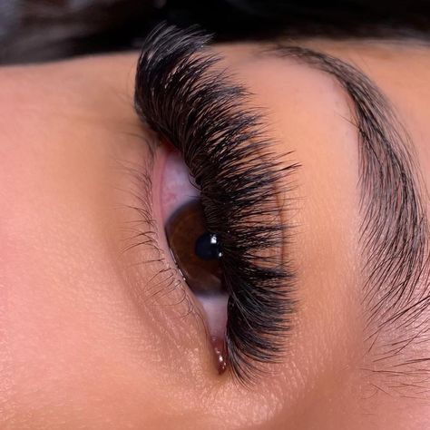 Mega volume 👁✨ 95$ #lashes #lasheslasheslashes #lashesmontreal #faucxils #lasheslasheslashes😍🎀🦋 Lashes Extensions Mega Volume, Lashes Mega Volume, Mega Lashes, Mega Volume Lash Extensions, Mega Volume Lashes, Lashes Volume, Volume Lash Extensions, Volume Lashes, Lash Extensions