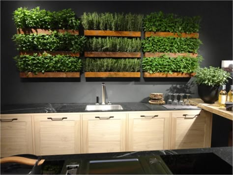 Big Ideas for Micro Living: Trending in North America | Tara Campbell Plants On The Wall, Micro Living, Micro Garden, Indoor Vegetables, Herb Wall, Jardim Diy, Herb Garden In Kitchen, Small Terrace, Vertical Herb Garden