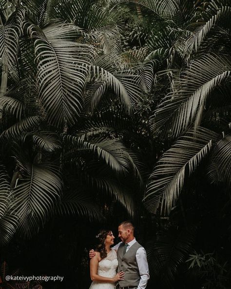 Outdoor Wedding Photos ❤ How to make wedding photos bright and unusual? Consider outdoor wedding photos, that are imbued with a romance and mystery. #wedding #bride #weddingforward #weddingphotography #outdoorweddingphotos Mystery Wedding, Creative Wedding Photo, Outdoor Wedding Photos, Wedding Photography Tips, Wedding Forward, Wedding Album, Best Ideas, Wedding Photo, Photography Tips