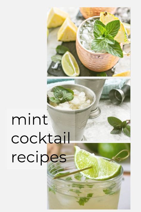 Looking for a way to use up all that mint in your garden? These delightful and refreshing Mint Cocktail Recipes will be enjoyed at your next gathering or happy hour. #beverages #alcohol #cocktails #mint #recipe Cocktails With Fresh Mint, Cocktail With Mint Leaves, Cocktails With Mint Leaves, Drinks With Mint Leaves Cocktails, Mint Drinks Alcohol, Mint Cocktail Recipes, Cocktails With Mint, Mint Drink Recipe, Cocktail With Mint