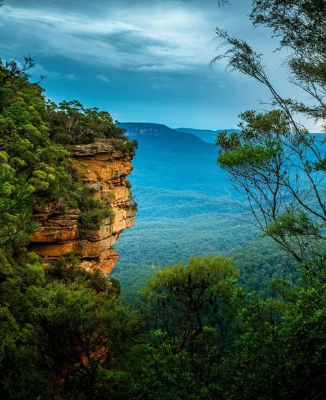 🏞️ #BlueMountainsAustralia 🏔️ Sandstone cliffs and bushland valleys of Blue Mountains Australia. Australia Mountains, Blue Mountains Australia, Mountain Valley, Blue Mountains, Blue Mountain, Australia Travel, Cambodia, Landscape Paintings, Paintings