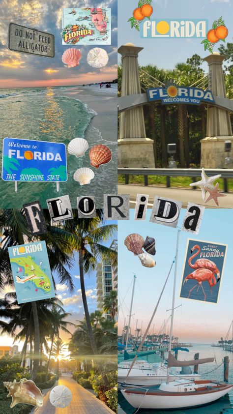 florida aesthetic collage #florida #miami #beach #uflorida #uf #fsu #universityofflorida #floridastateuniversity #collage #aesthetic #wallpaper Collage Aesthetic Wallpaper, Florida Miami Beach, Florida Aesthetic, Florida State University, Passion Project, University Of Florida, Sunshine State, Aesthetic Collage, Beach Aesthetic