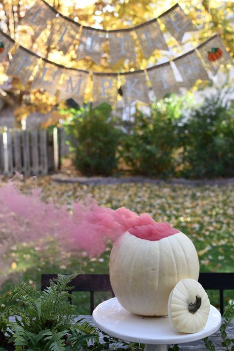 Fall Gender Reveal - Madison Fichtl Fall Gender Reveal Party, Pumpkin Gender Reveal, Simple Gender Reveal, Gender Reveal Baby Shower Themes, Creative Gender Reveals, Halloween Gender Reveal, Baby Gender Reveal Party Decorations, Gender Reveal Announcement, Pregnancy Gender Reveal