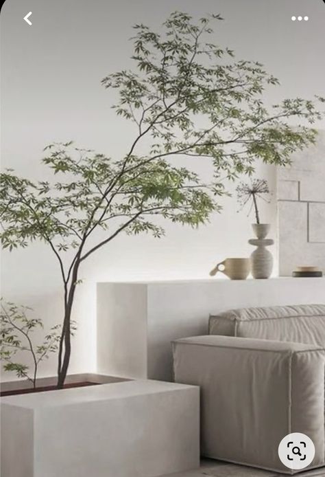 Wood And Plant Interior Design, Plant As Room Divider, Japandi Tree Indoor, Japandi Interior Plants, Japandi Hanging Plants, Indoor Plants Minimalist, Bonsai Tree Decor Living Room, Plant Room Divider, Japanese Indoor Plants