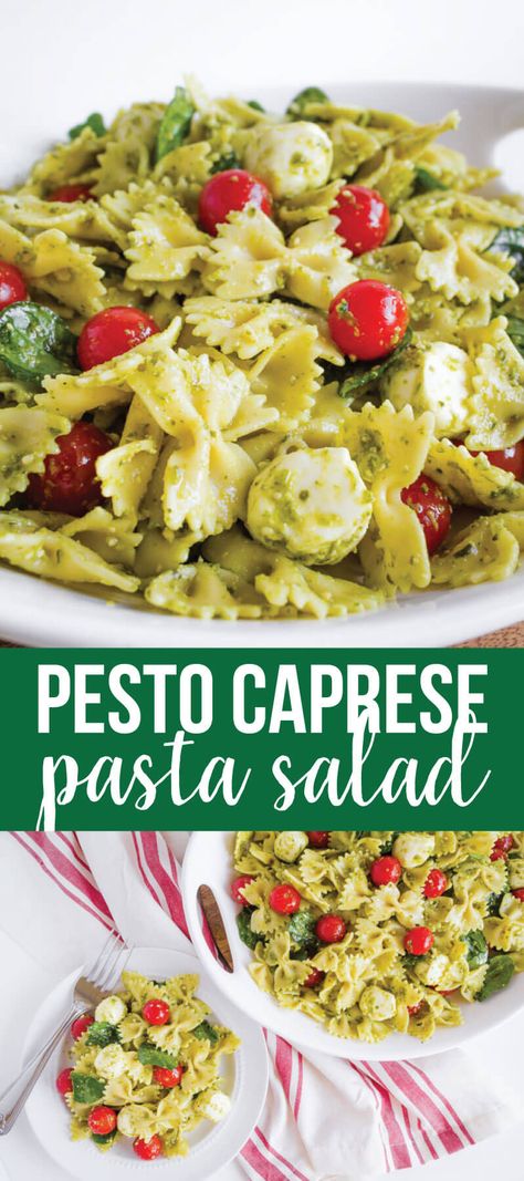 Pesto Caprese Pasta, Jimmy John’s Pesto Pasta Salad Recipe, Caprese Pesto Pasta Salad, Orichette Pasta Salad, Pesto Feta Pasta Salad, Easy Pesto Pasta Salad Recipes, Pesto Noodle Salad, Creamy Caprese Pasta Salad, Pasta Salad With Pesto Recipes