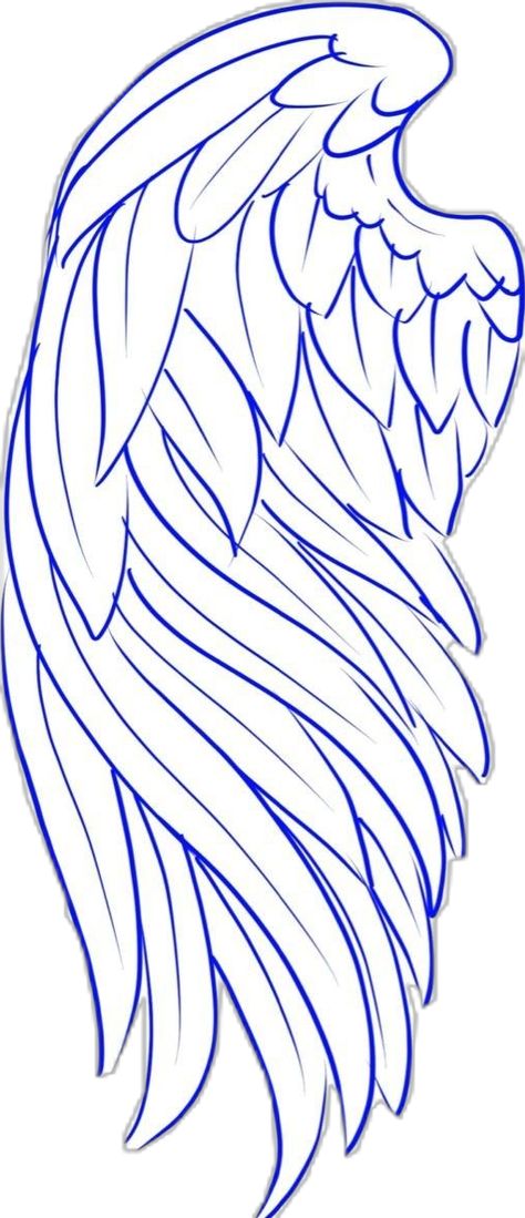 Wings Anatomy, Angel Wings Tattoo Stencil, Angel Wing Outline, Tattoo Nike, Eagle Wing Tattoos, Winged Stencil, Bird Paper Craft, Angel Wings Drawing, Diy Angel Wings