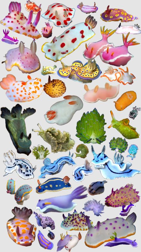 sea bunny slug rainbow ☆ Sea Slug Painting, Cute Sea Slugs, Slug Reference, Sea Slug Character Design, Sea Slug Oc, Sea Bunny Oc, Sea Creatures Aesthetic, Sea Animals Aesthetic, Sea Slug Art