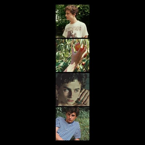 Timothee Chalamet Bookmark Printable, Call Me By Your Name Bookmark, Timothee Chalamet Bookmark, Cmbyn Aesthetic Italy, Cmbyn Aesthetic, Elio Perlman, Peach Paint, Aesthetic Italy, Call Me By Your Name