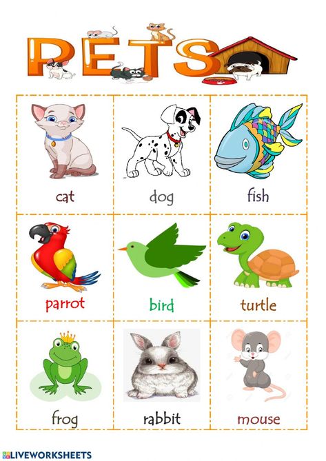 Pets online worksheet for Grade 2. You can do the exercises online or download the worksheet as pdf. Pictures Of Pets Preschool, Preschool Pets Activities, Pet Animals Chart, My Pets Worksheets For Kids, Pet Animals Worksheets For Kids, Pets Worksheets Preschool, Pet Animals Worksheet, Preschool English Activities, Pets Activities For Kids