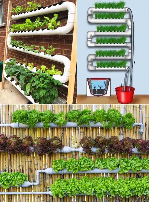 DIY Hydroponics Growing System:... - Plants and gardening Hydroponics Diy Indoor, Aeroponic Gardening, Vertical Hydroponics, Hydroponic Gardening Diy, Indoor Hydroponic Gardening, Diy Hydroponics, Green Wall Garden, Hydroponic Gardening System, Indoor Hydroponics