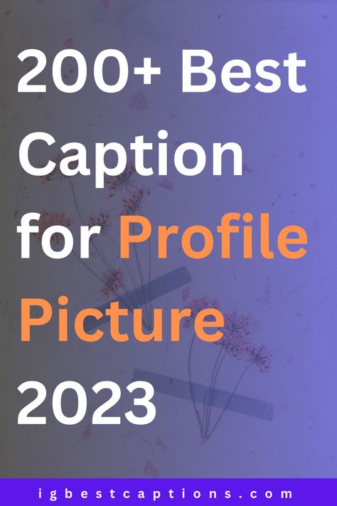 Your profile picture is the first impression you make on social media platform. It is the face of your online identity and the perfect opportunity to showcase your unique personality. A great profile picture can reflect your style, interests, and even your brand. Funny Caption For Profile Picture, Fb Profile Picture Captions, Profile Picture Facebook Unique, Quote For Profile Picture, Profile Picture Message, Profile Picture Quotes Good Vibes, Facebook Photos Profile Pictures, Fb Profile Caption Ideas, Change Profile Picture Caption