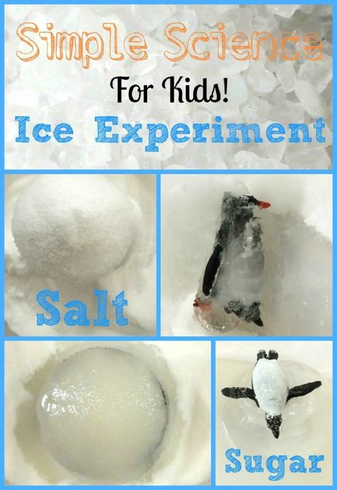 Arctic Science Experiments For Kids, Seasons Science Experiments For Kids, Pets Eyfs, Polar Activities, Polar Explorer, Winter Science, Simple Science, Winter Kindergarten, Kid Experiments