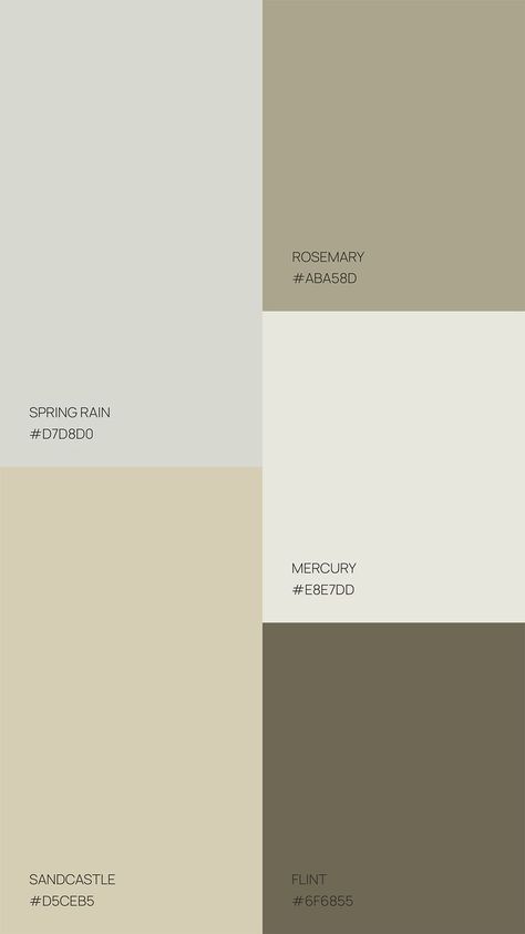 Pantone Colour Palettes, Hex Color Palette, Nature Color Palette, Brand Color Palette, Color Palette Design, Design Visual, Color Inspo, Neutral Colour Palette, Creative Direction