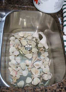 Seashell Wreaths, Shell Wreaths, Seashell Ideas, Seashell Wall Decor, Seashore Decor, Beach Wreaths, Shell Projects, Sea Shells Diy, Diy Beach Decor