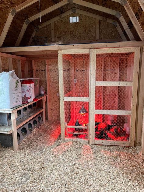 Pallet Backyard, Chicken Coop Decorations, Garden Chicken Coop, Decorating Backyard, Coop Layout, Inside Chicken Coop, Reban Ayam, Coop Run, Chicken Coop Ideas